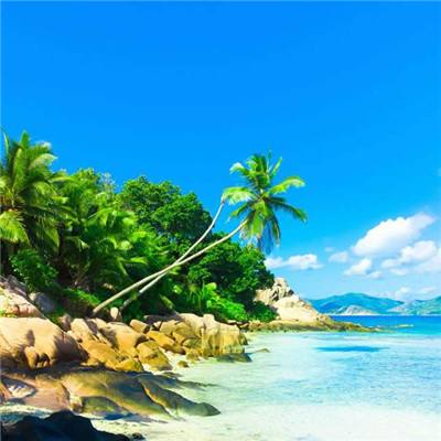 足球北单官方网站截图