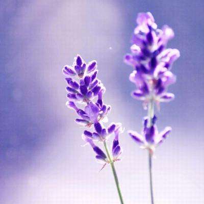 凯发游戏下载手机版