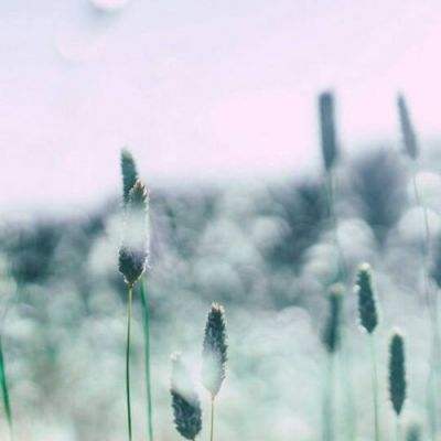 凯发游戏下载手机版截图